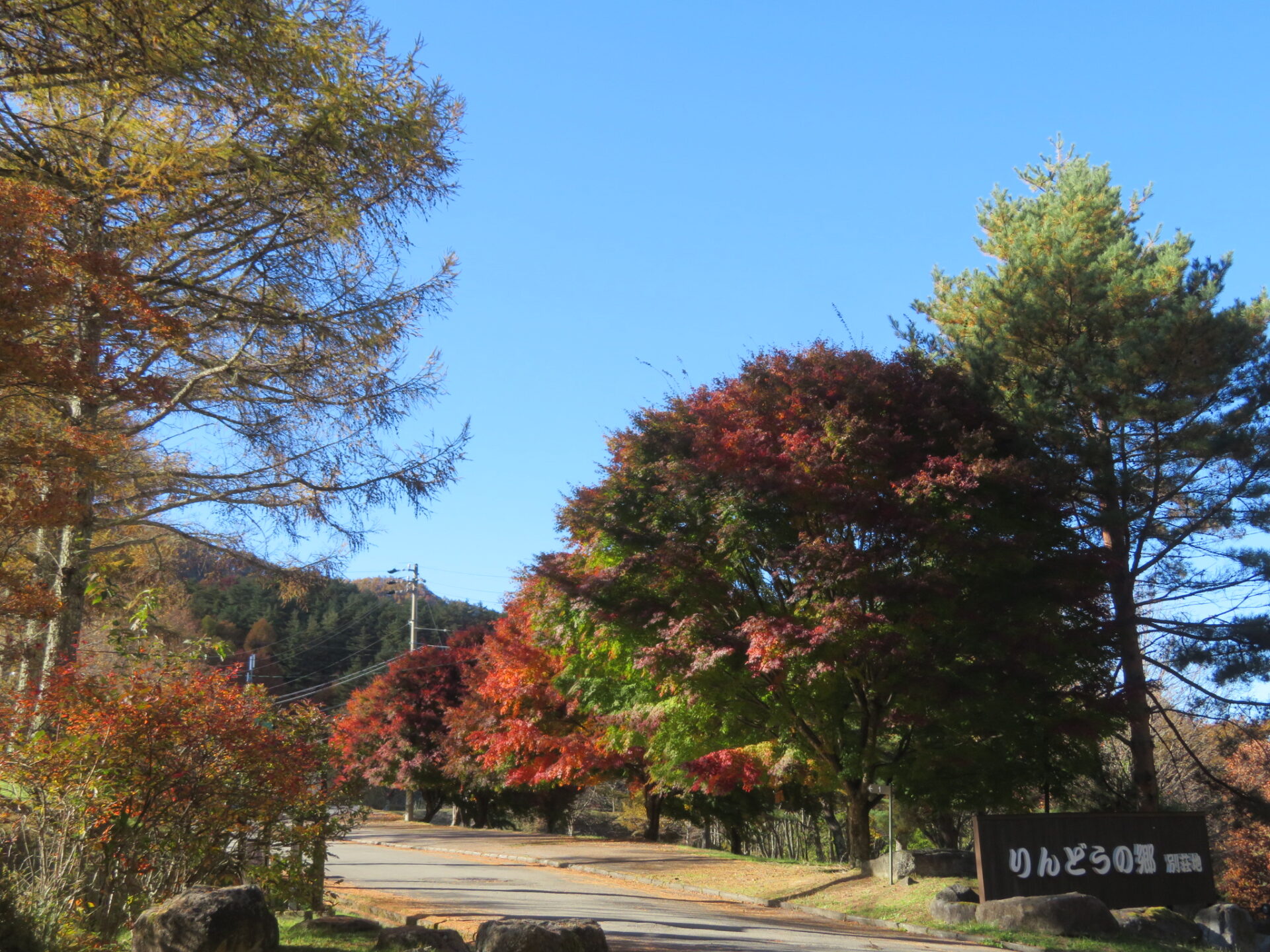 りんどうの郷別荘地入口 紅葉・・・