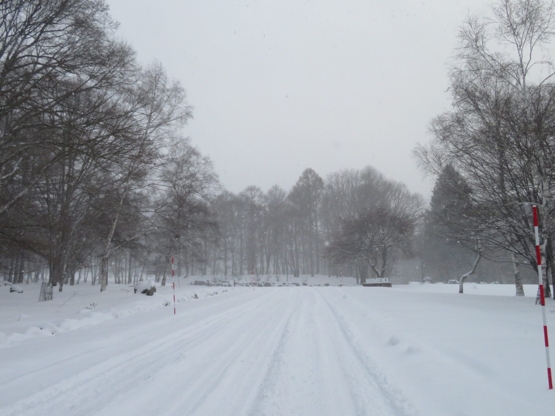 壁取り・敷地内の除雪について