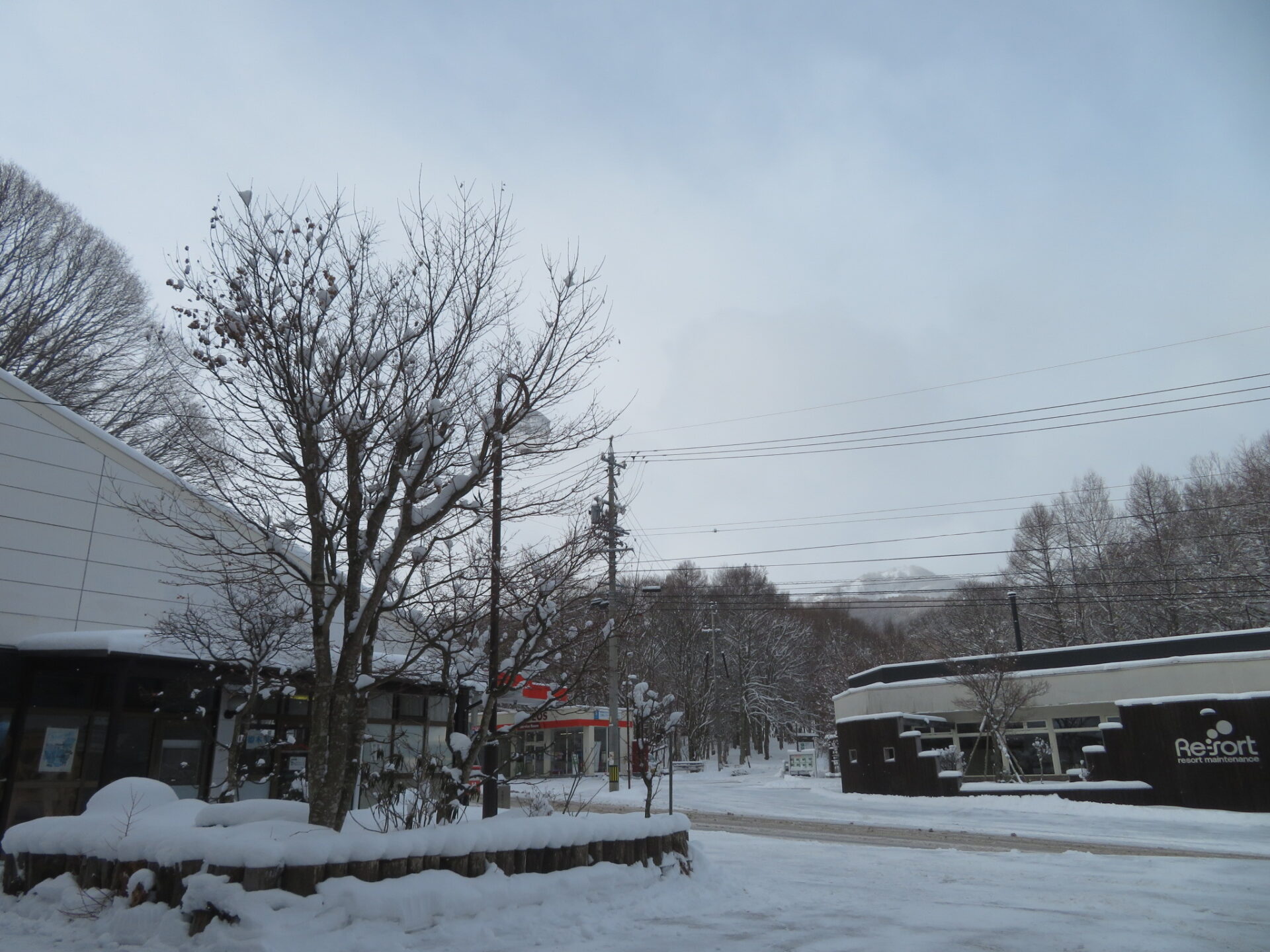今季一番の降雪・・・