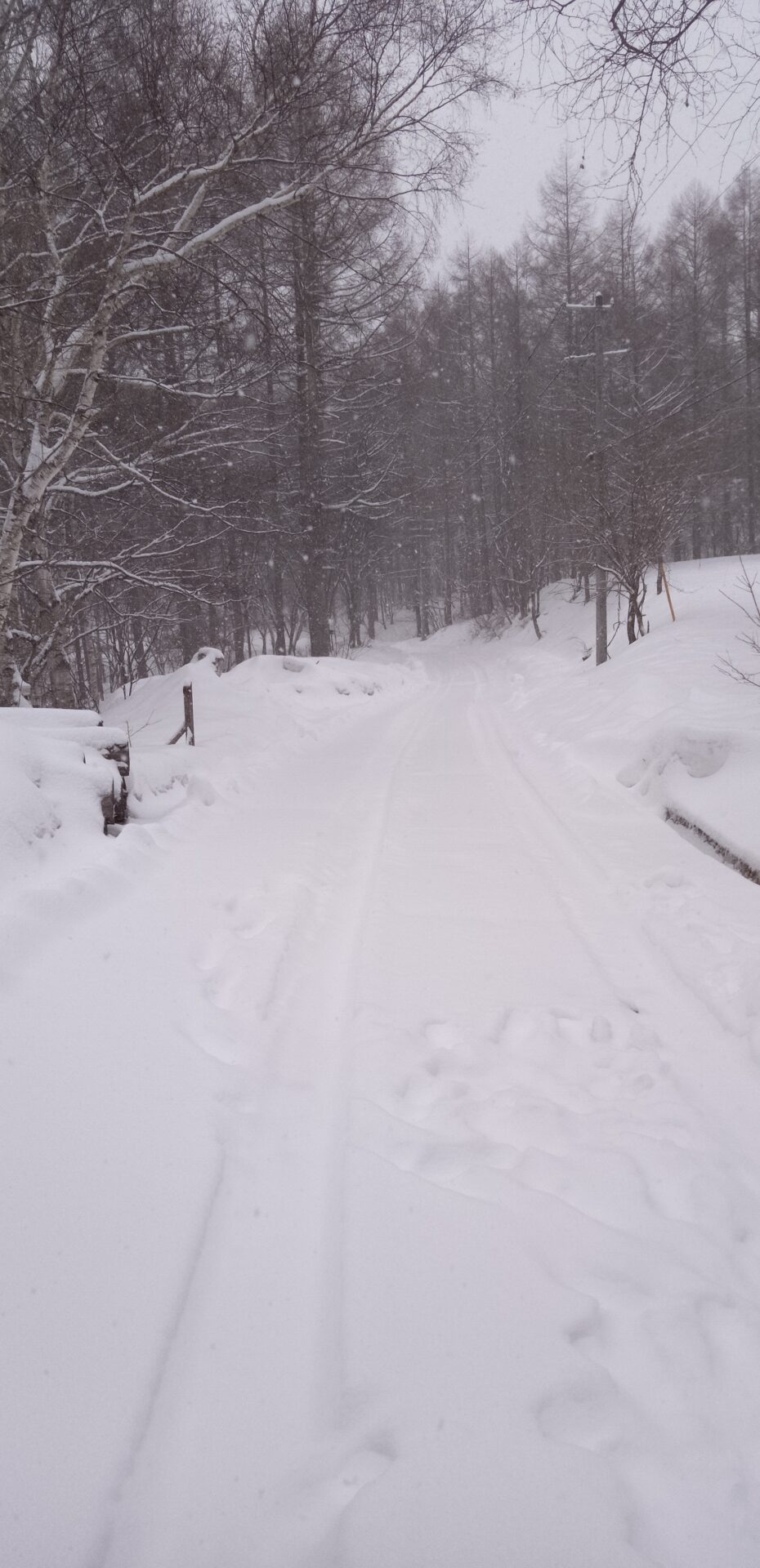 降雪