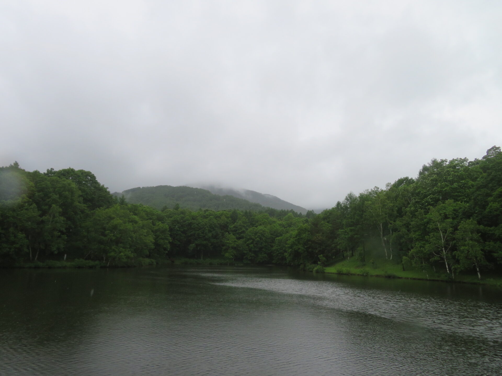 雨・・・