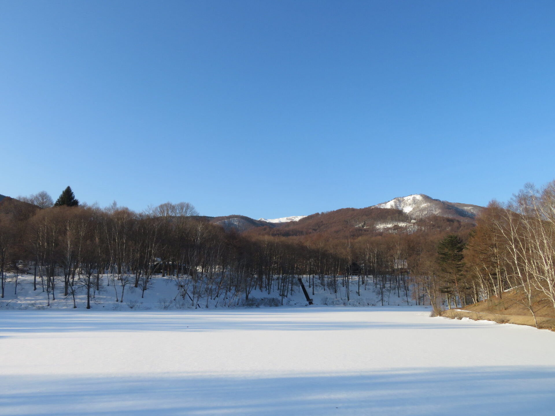 気持ちのいい青空・・・