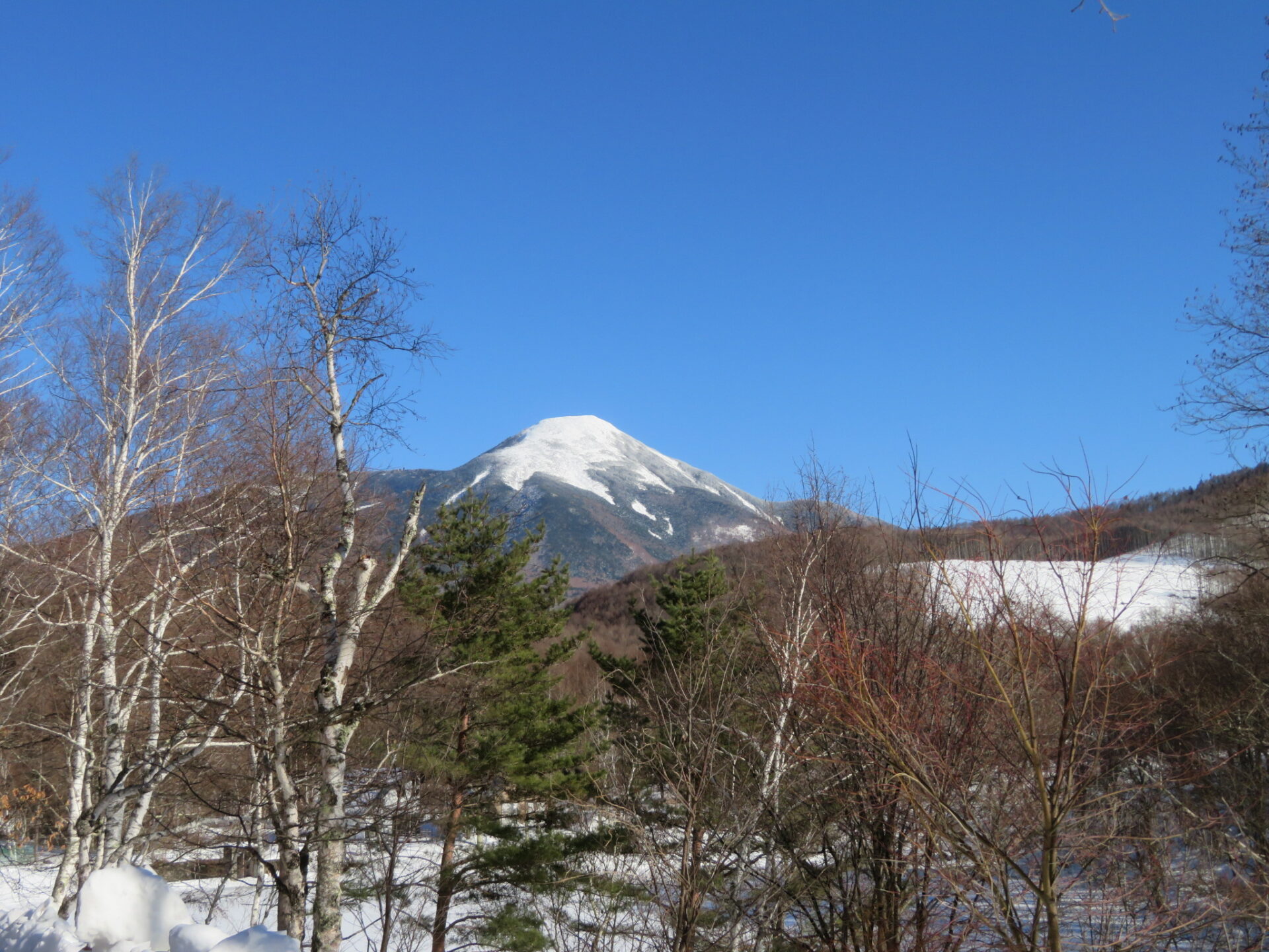 穏やかなお天気・・・