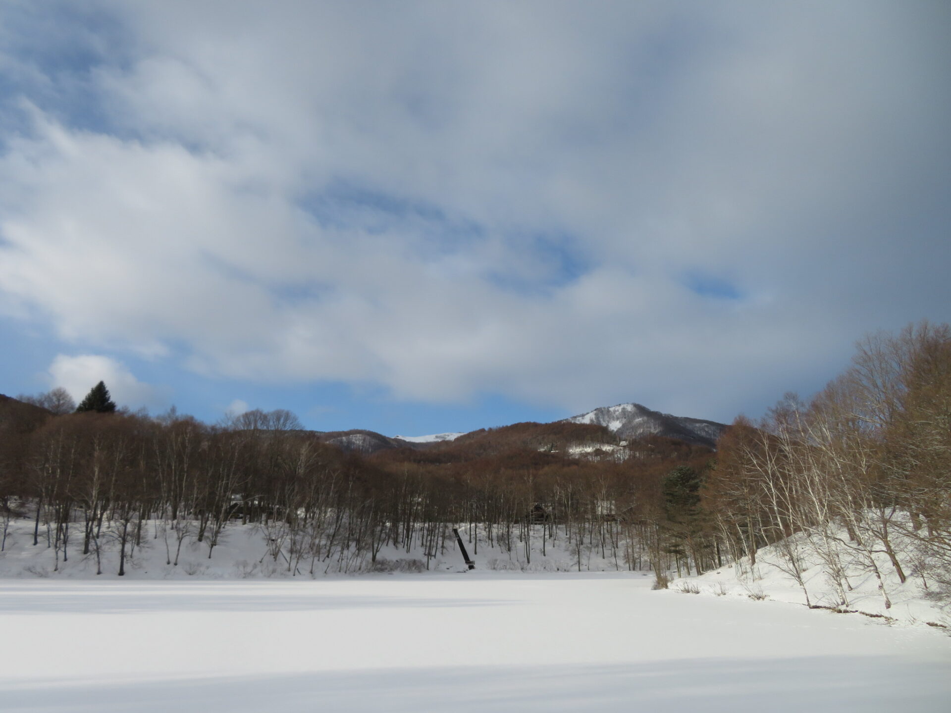 寒暖差にお気をつけください・・・