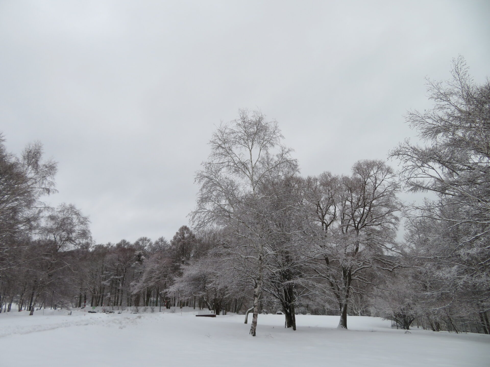 雪・・・