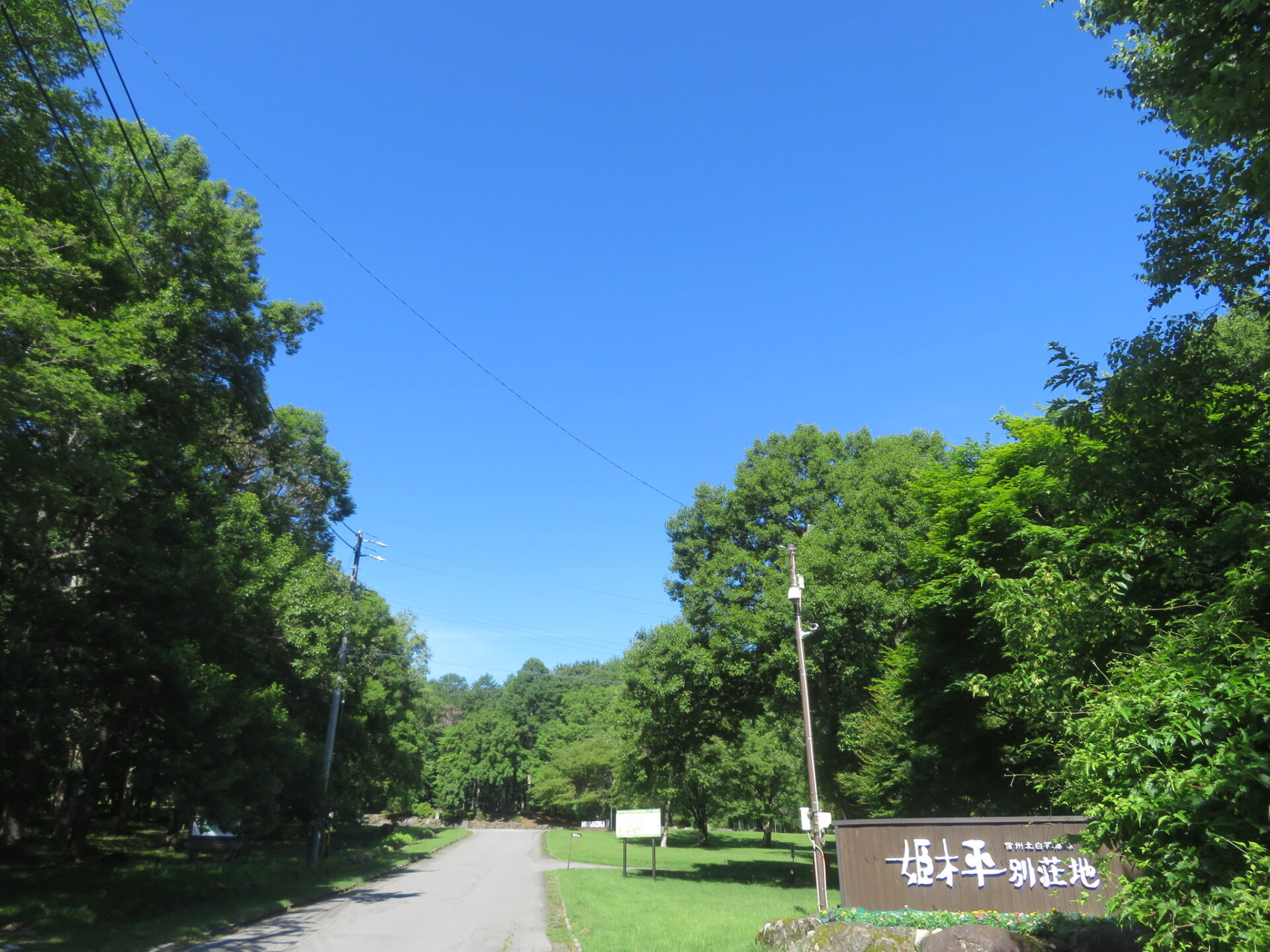 いいお天気・・・