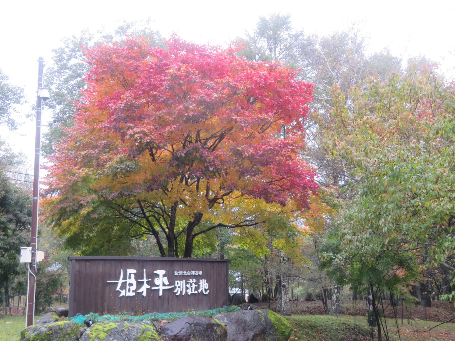 熊の目撃情報について