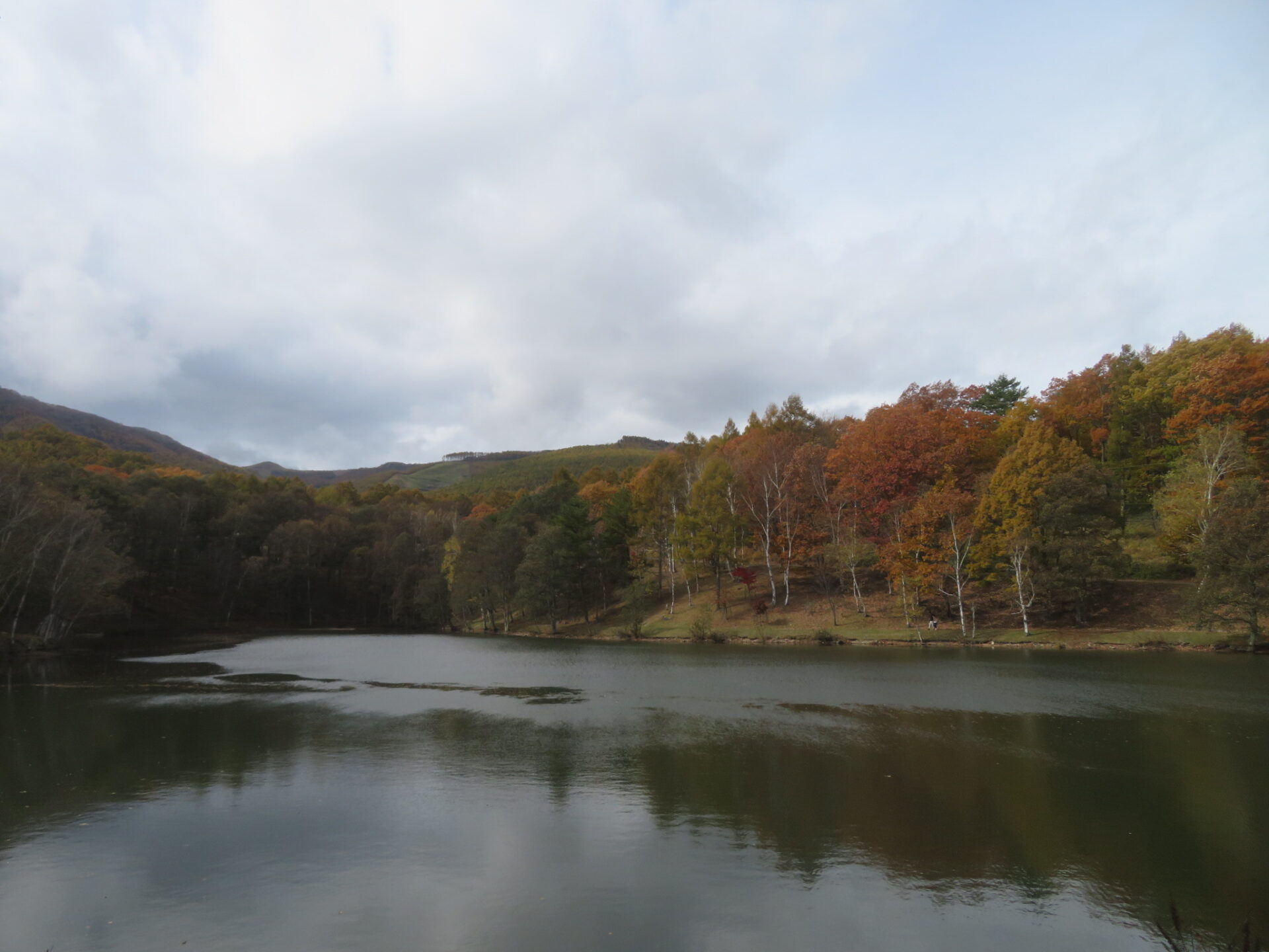 衛生車(汲取り)の受付について