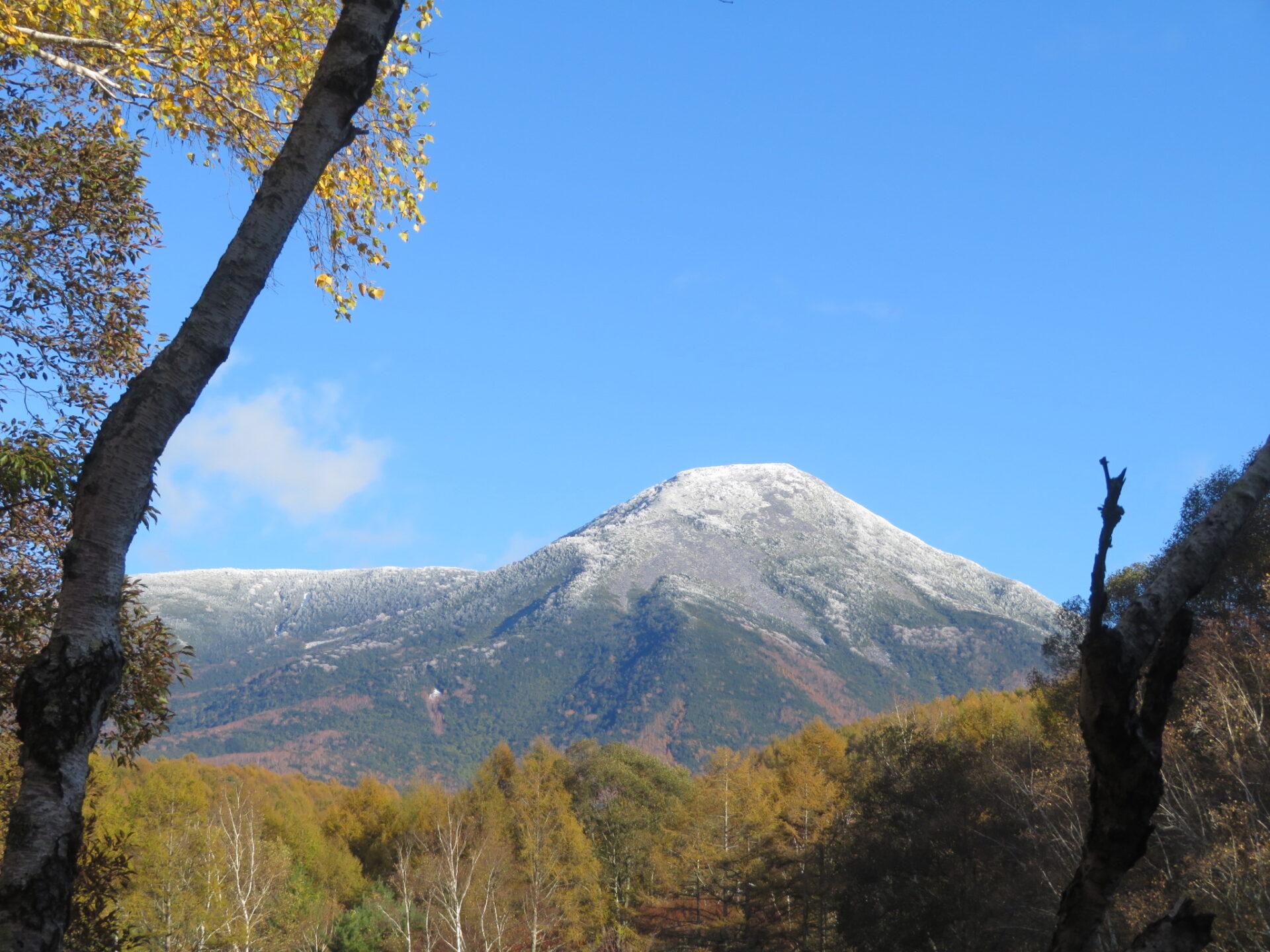 図書館 ご利用時間変更について