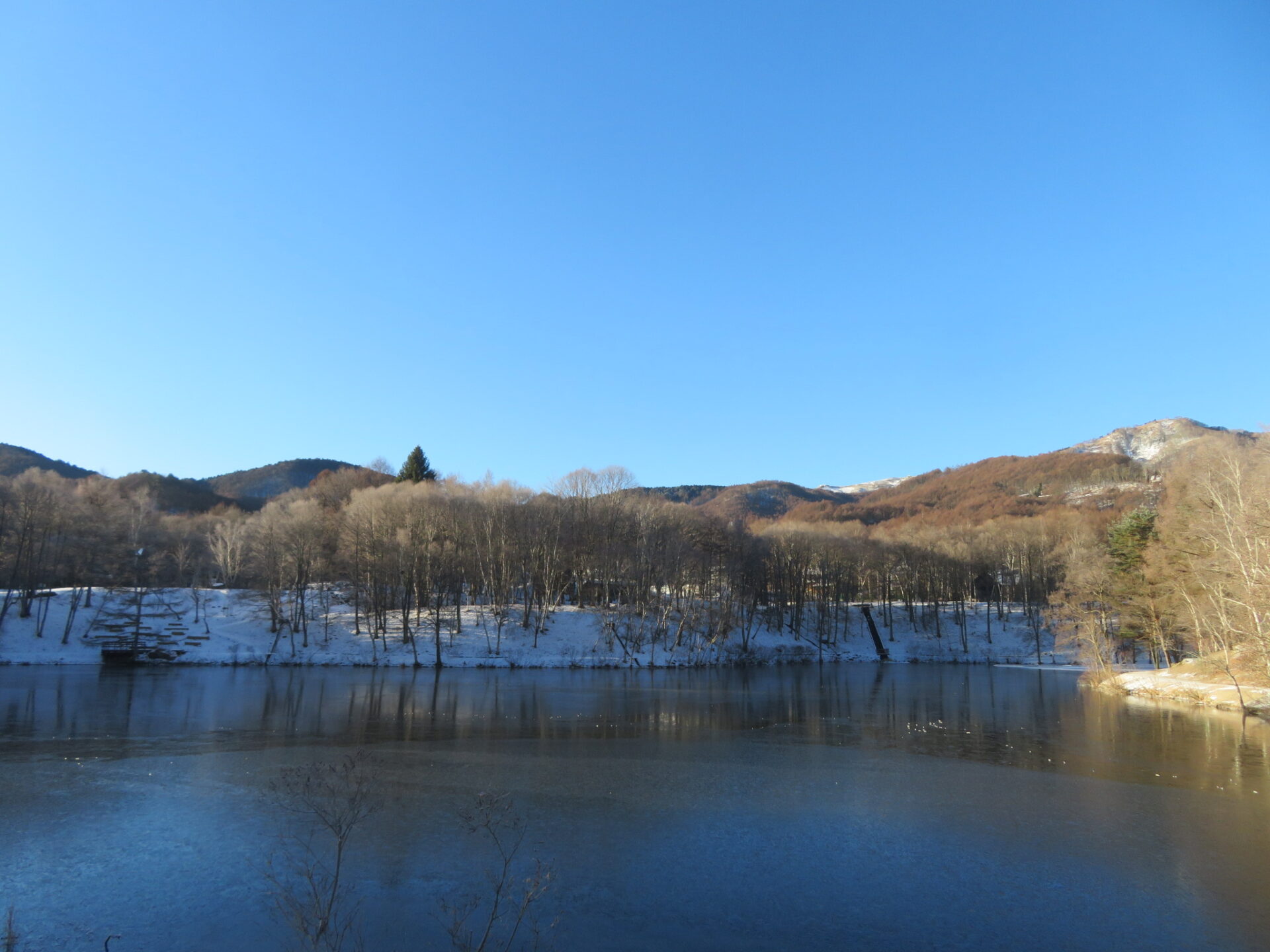 冷え込みました・・・