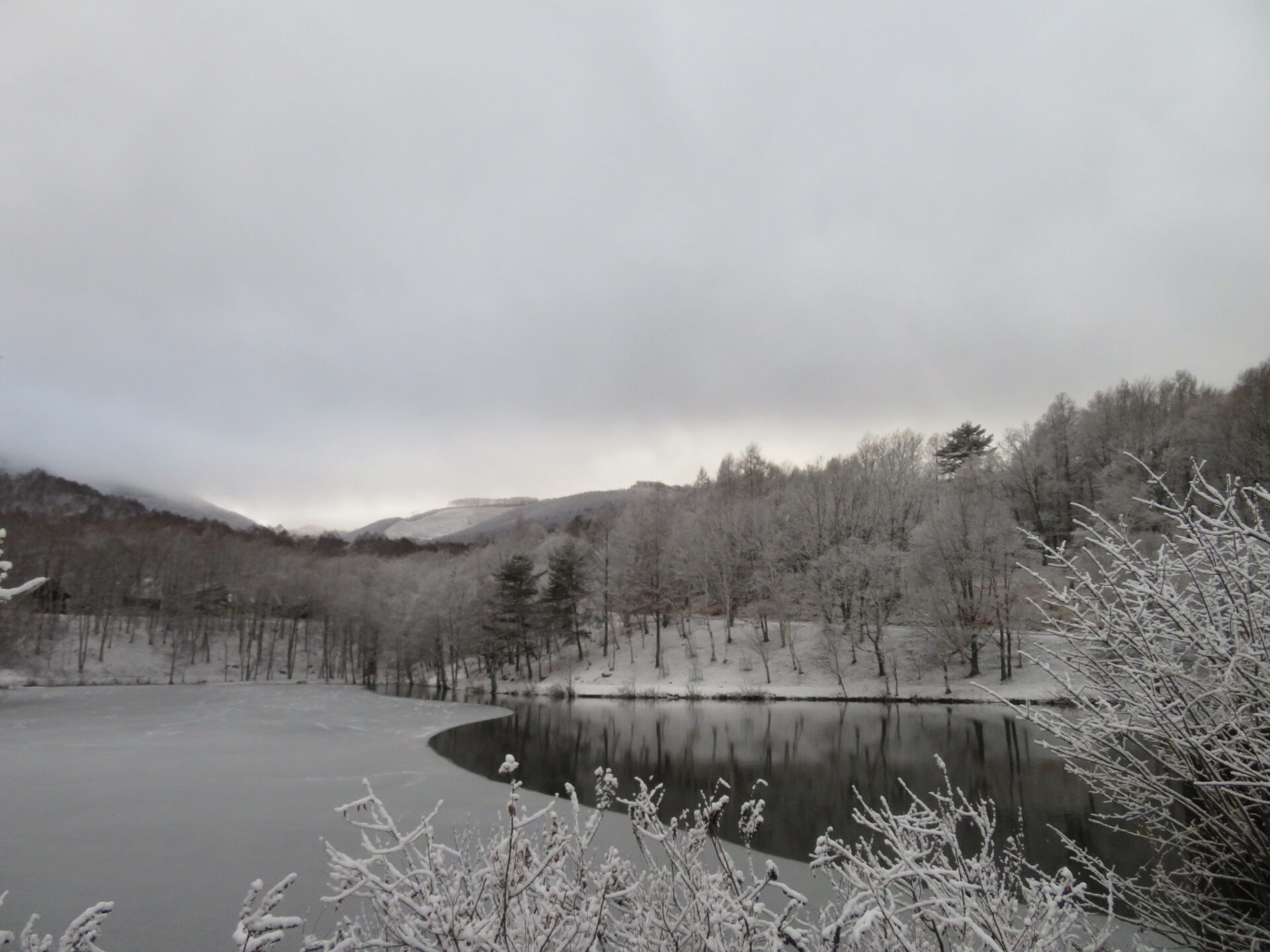 雨から雪・・・