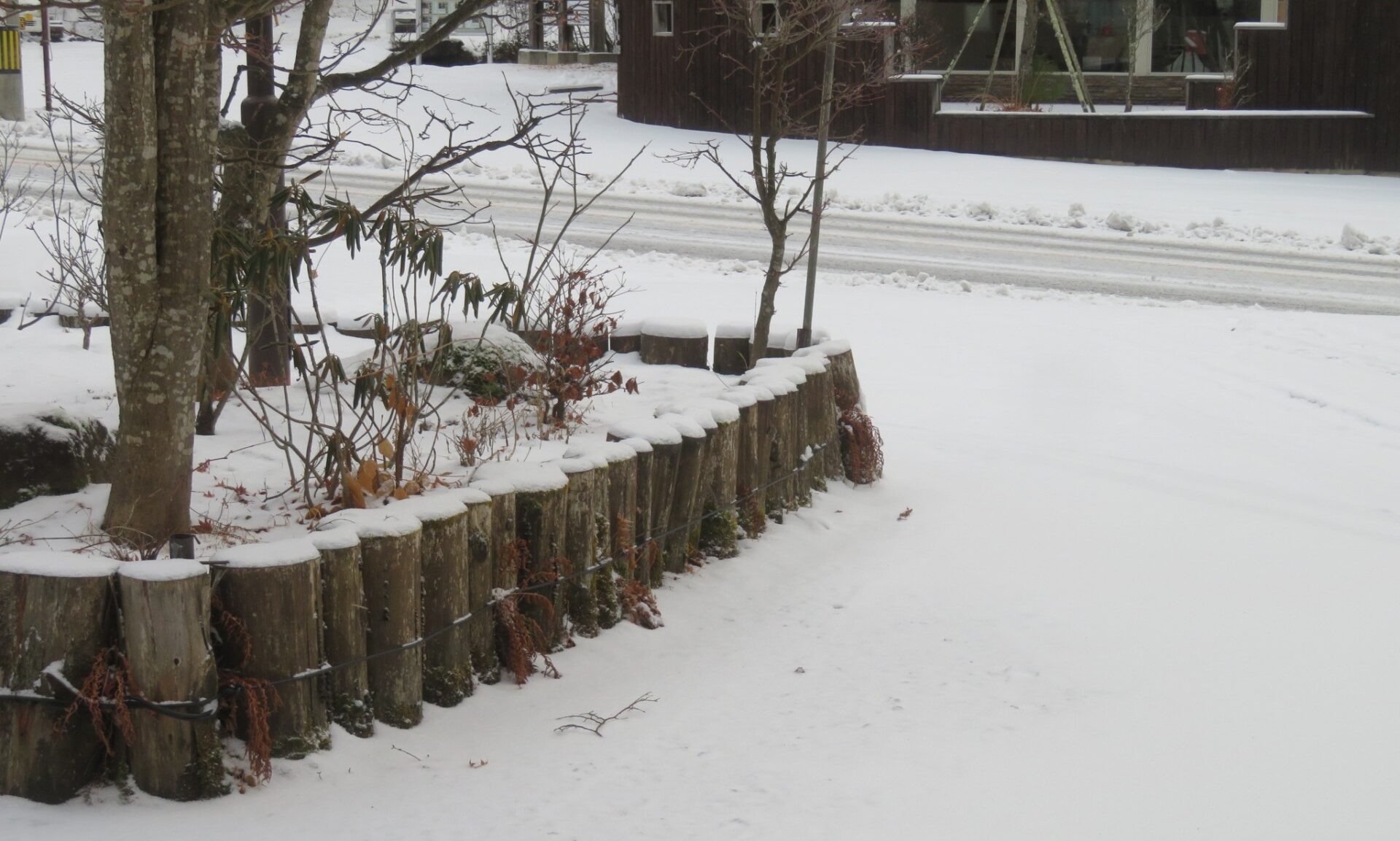 降雪 5㎝ほど・・・