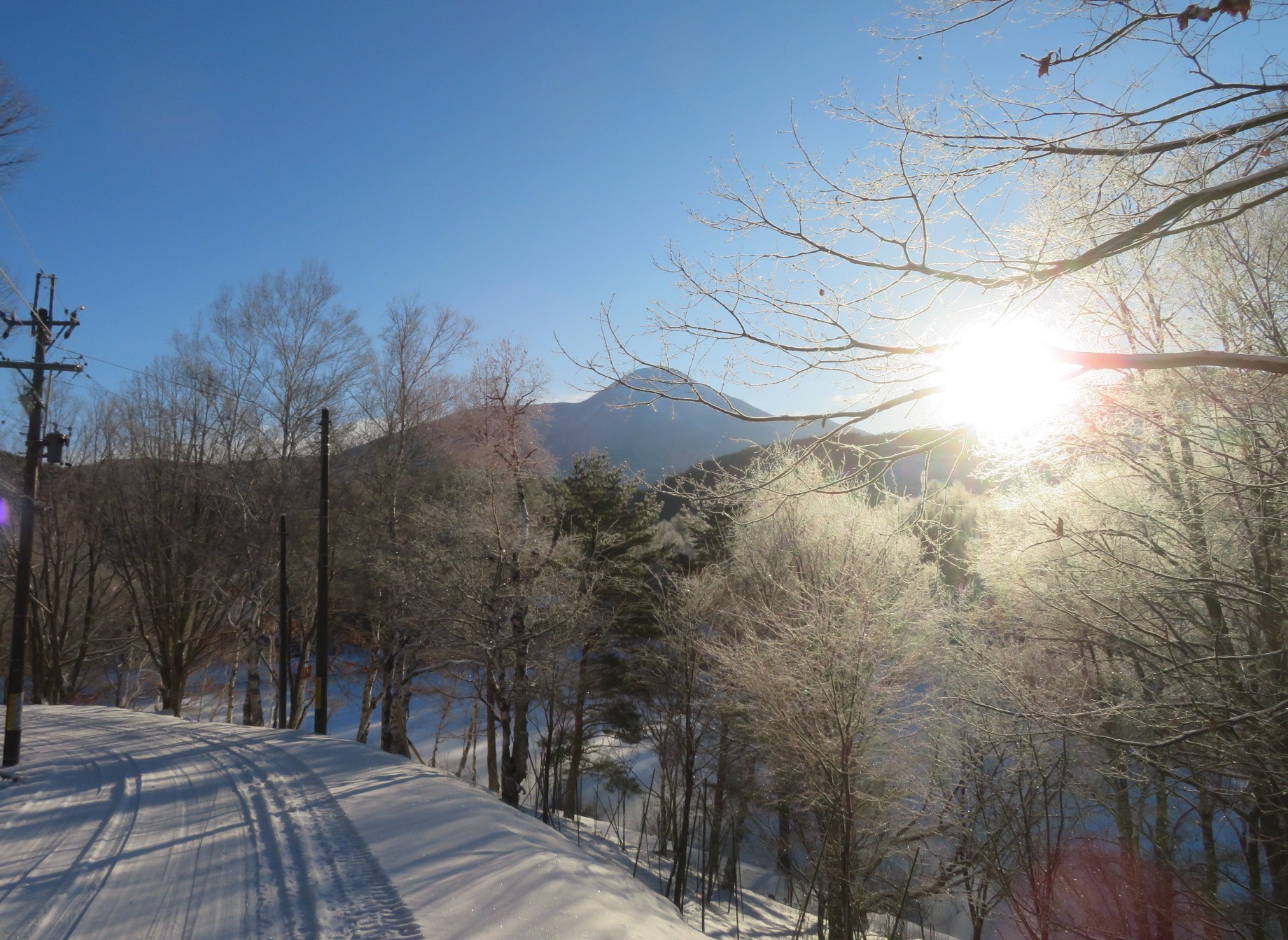 年末年始の営業について