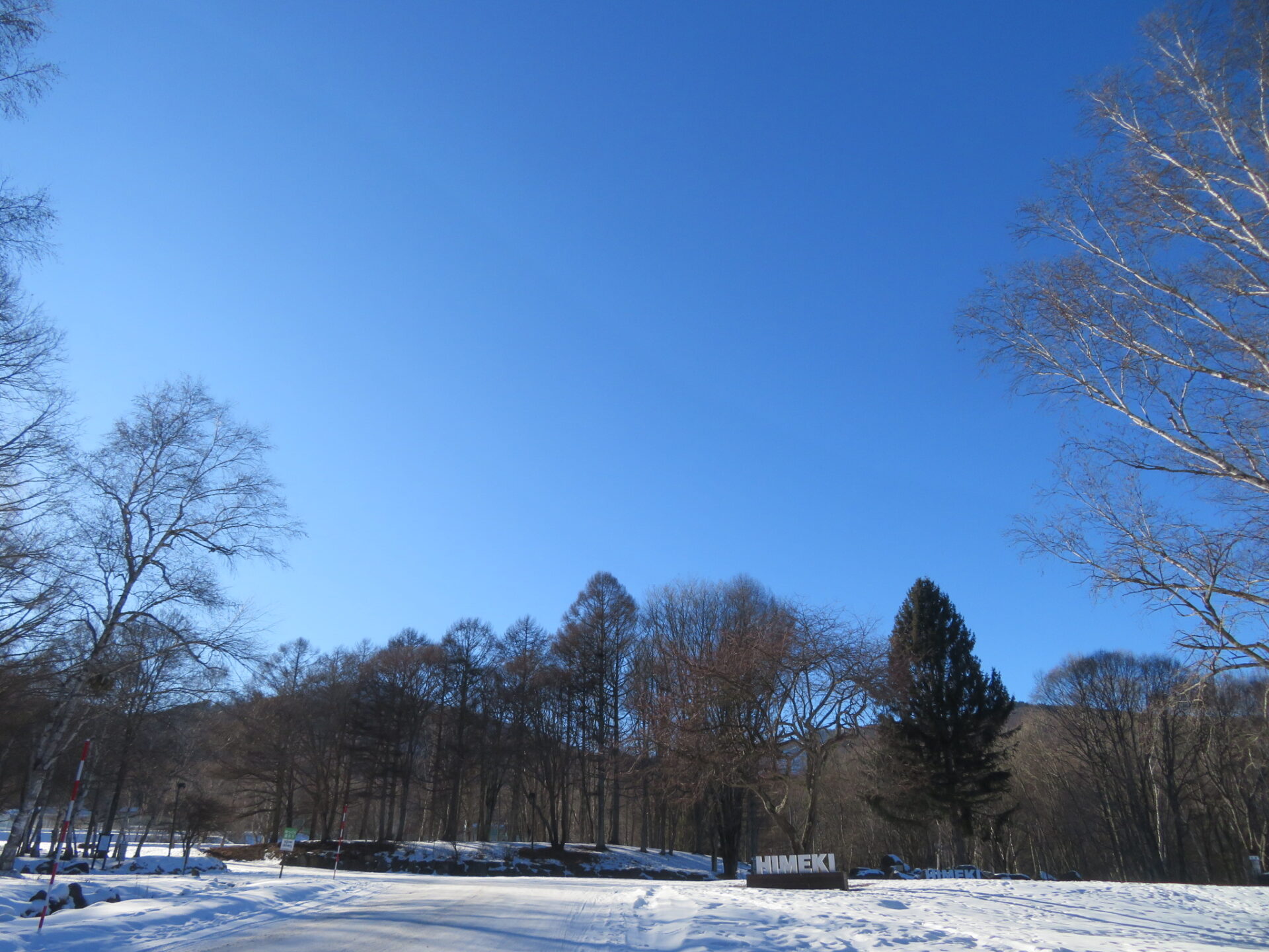 いいお天気です・・・
