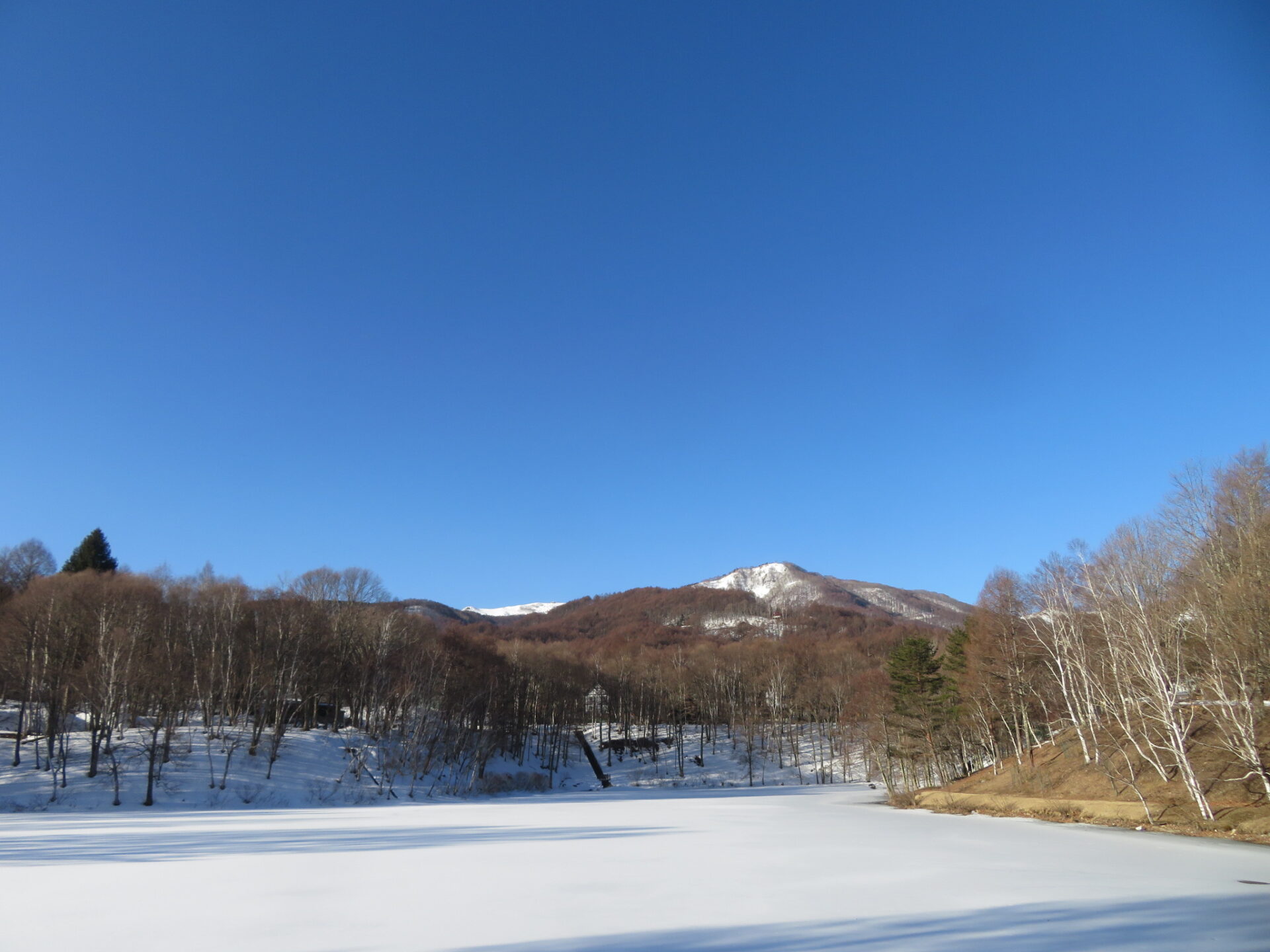 連休中日・・・