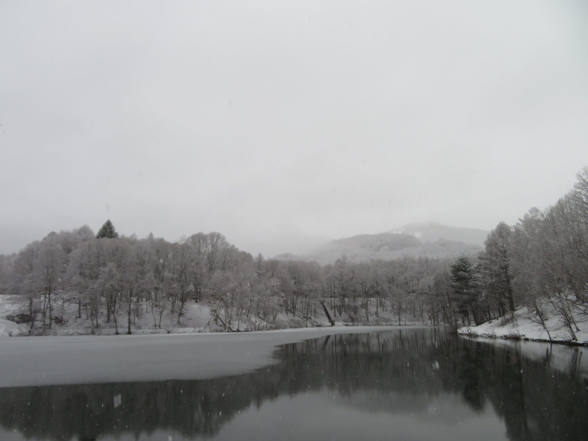 雪が降っています・・・