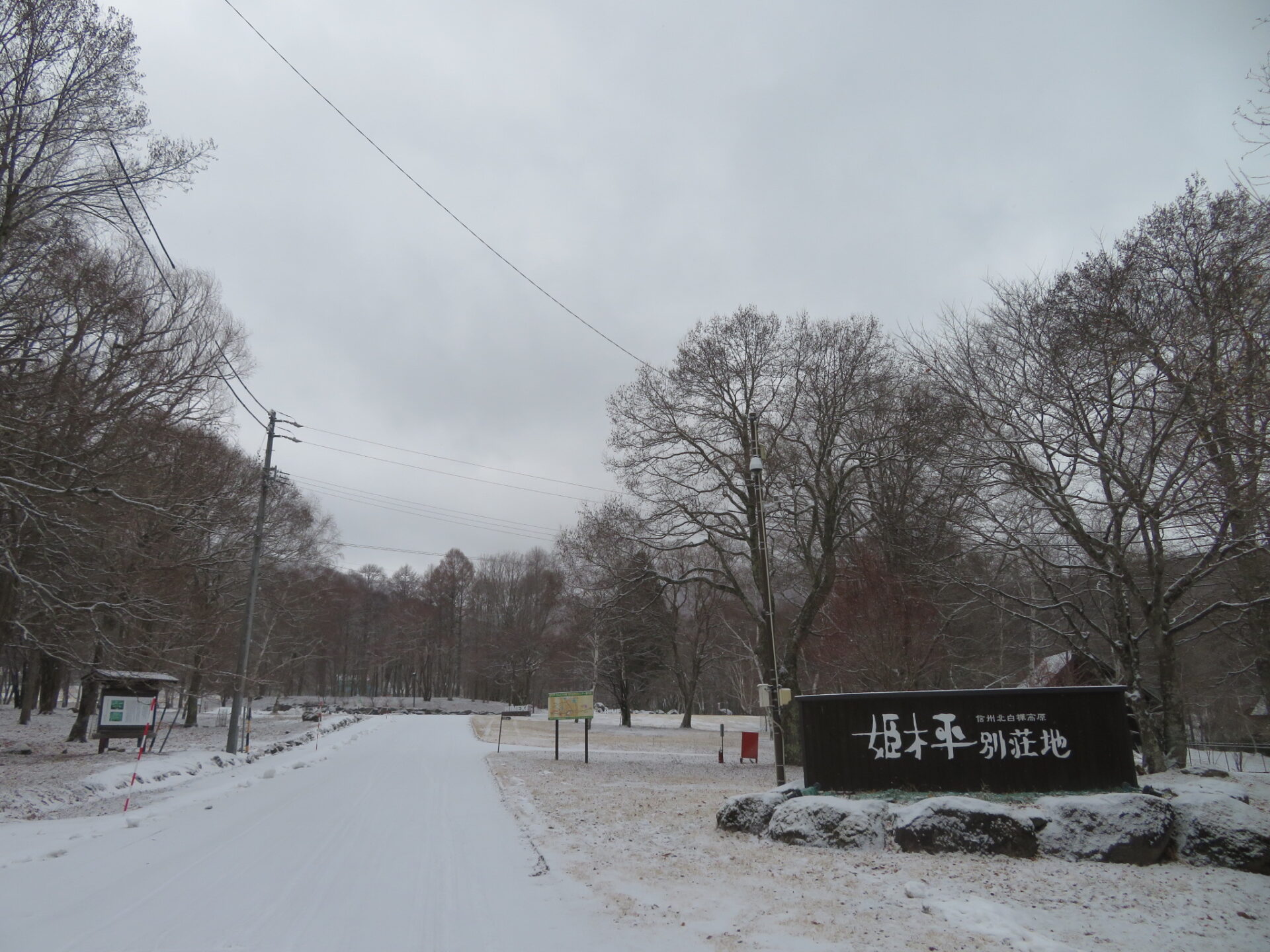 薄っすらと雪化粧・・・