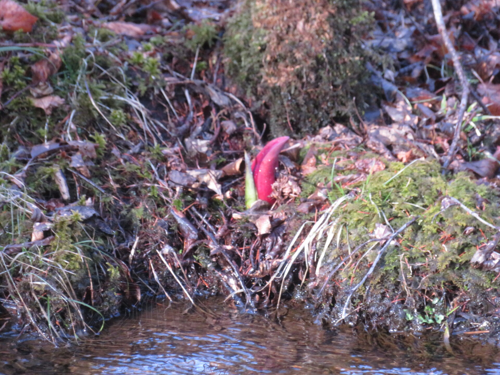 長和町指定のごみ袋料金の改定・ごみの出し方に関する変更について
