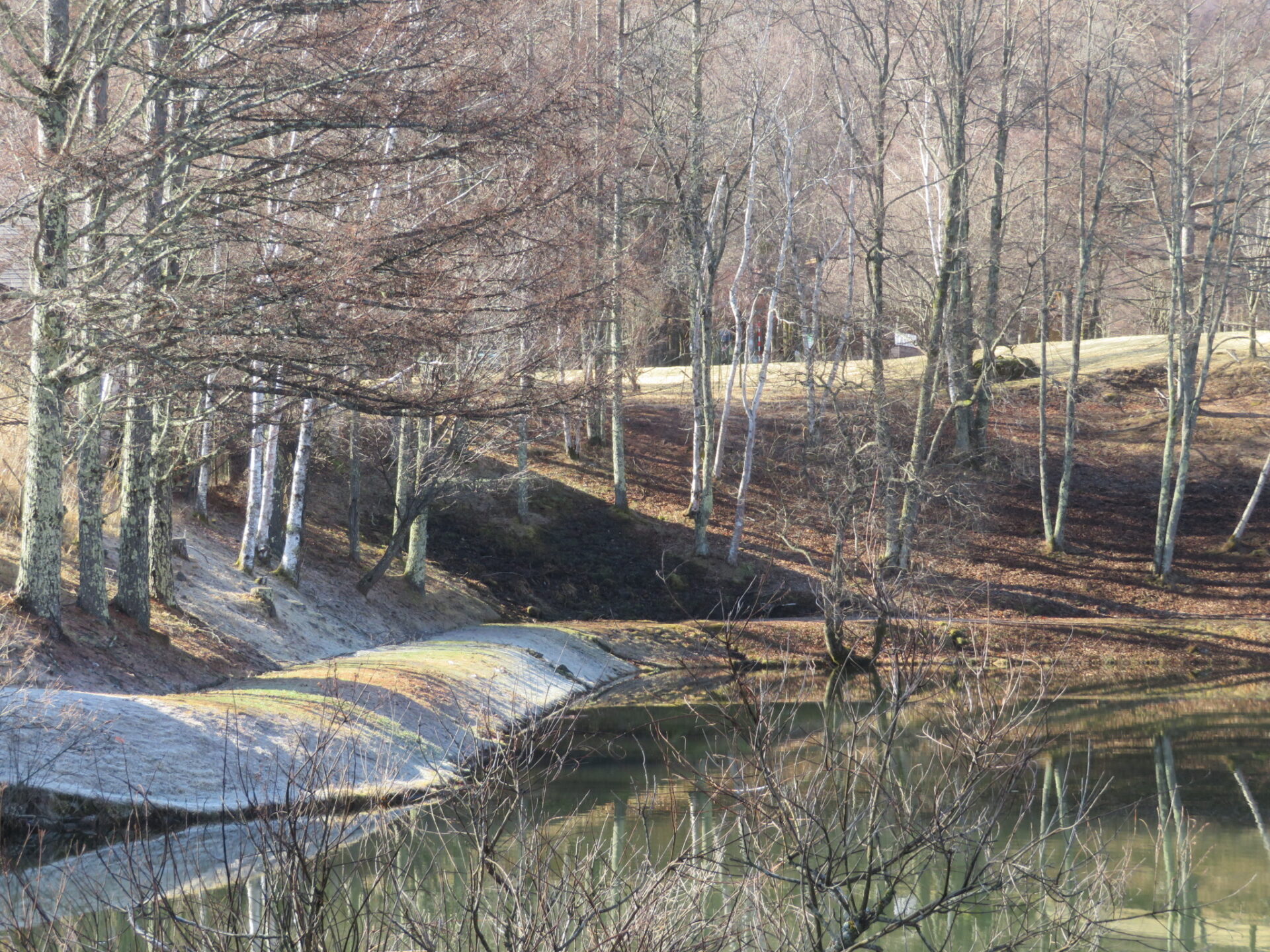 気持ちのいい青空・・・