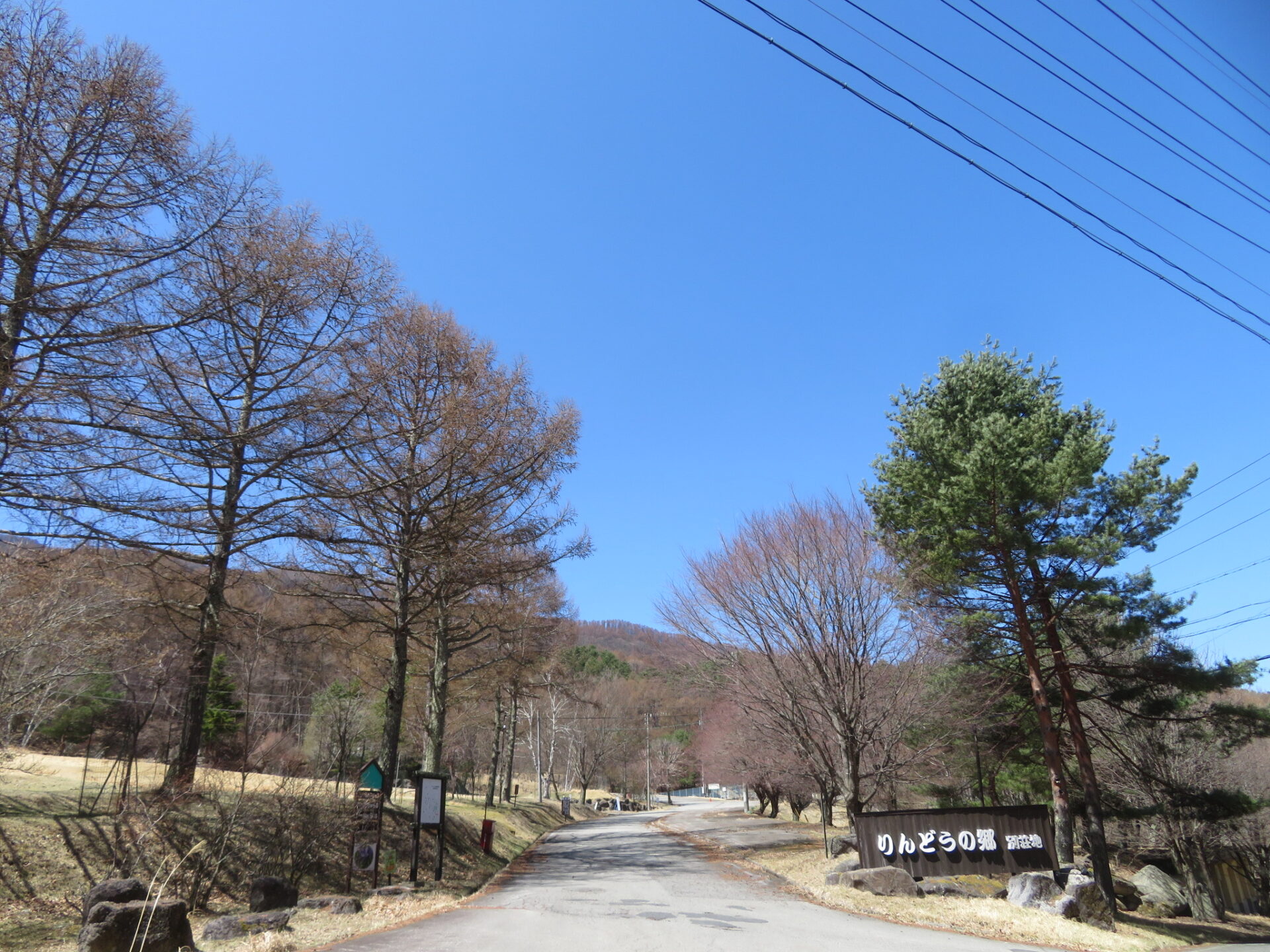 暖かな日・・・