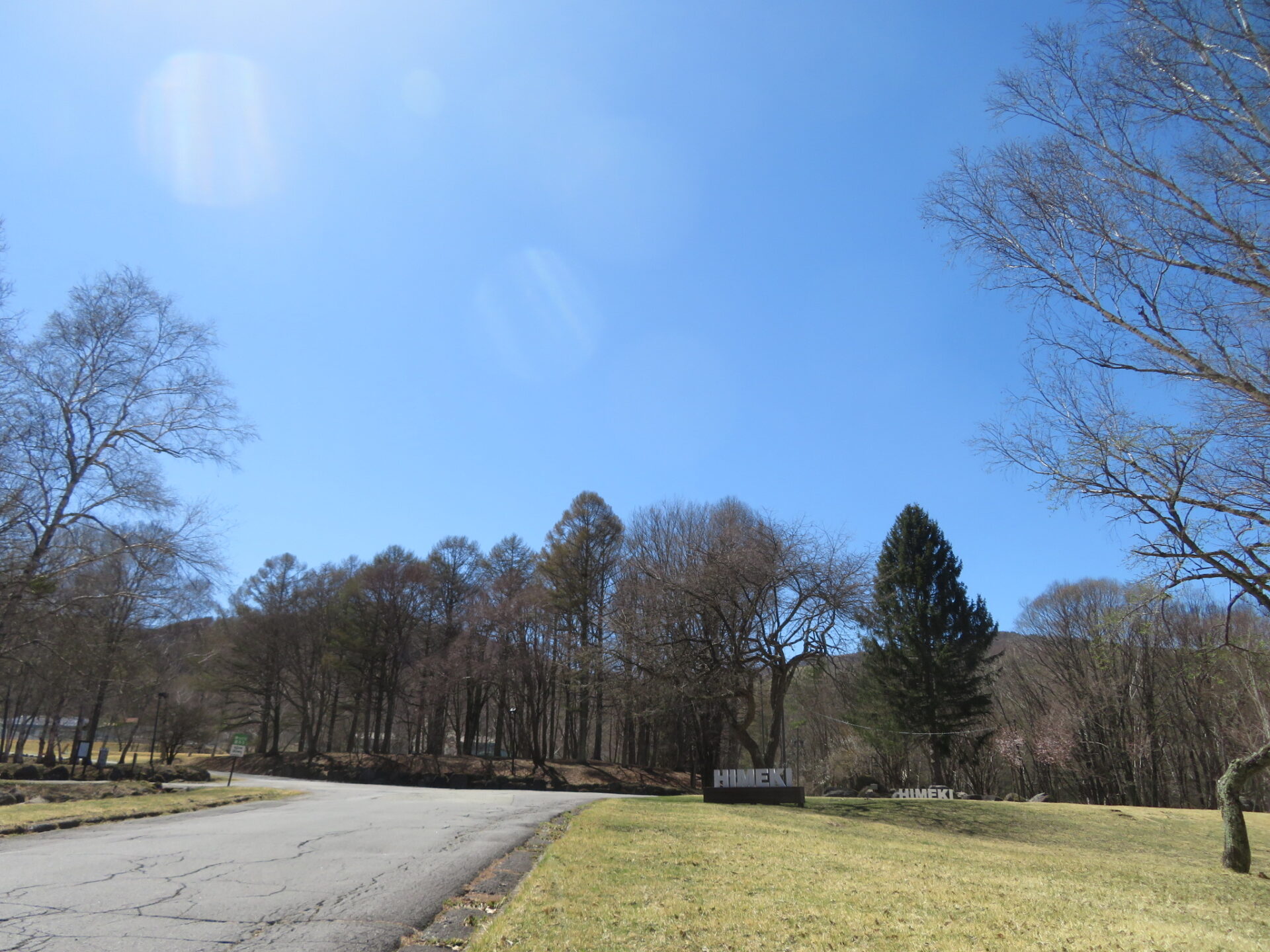 桜が見頃に・・・