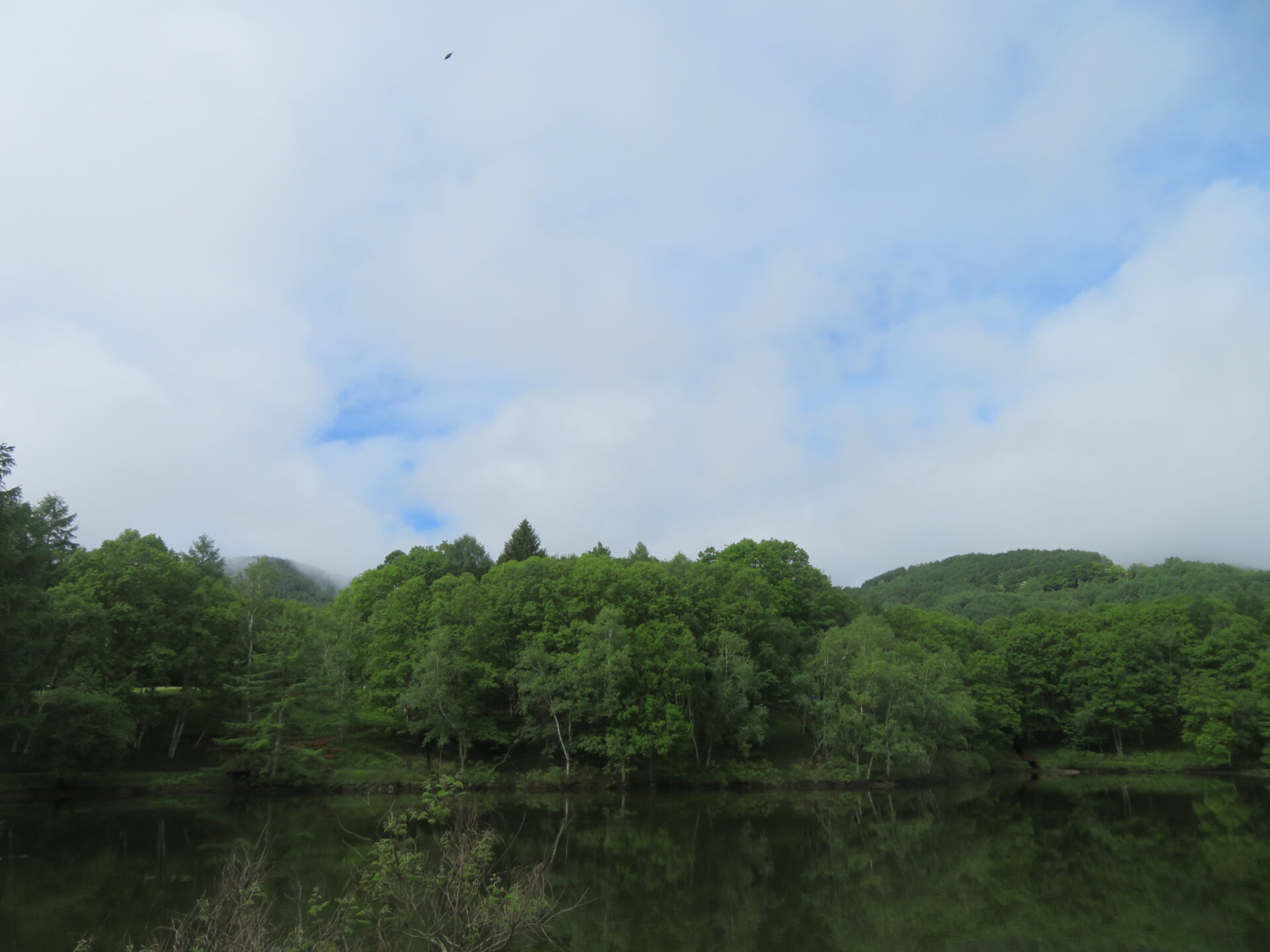 梅雨入り・・・