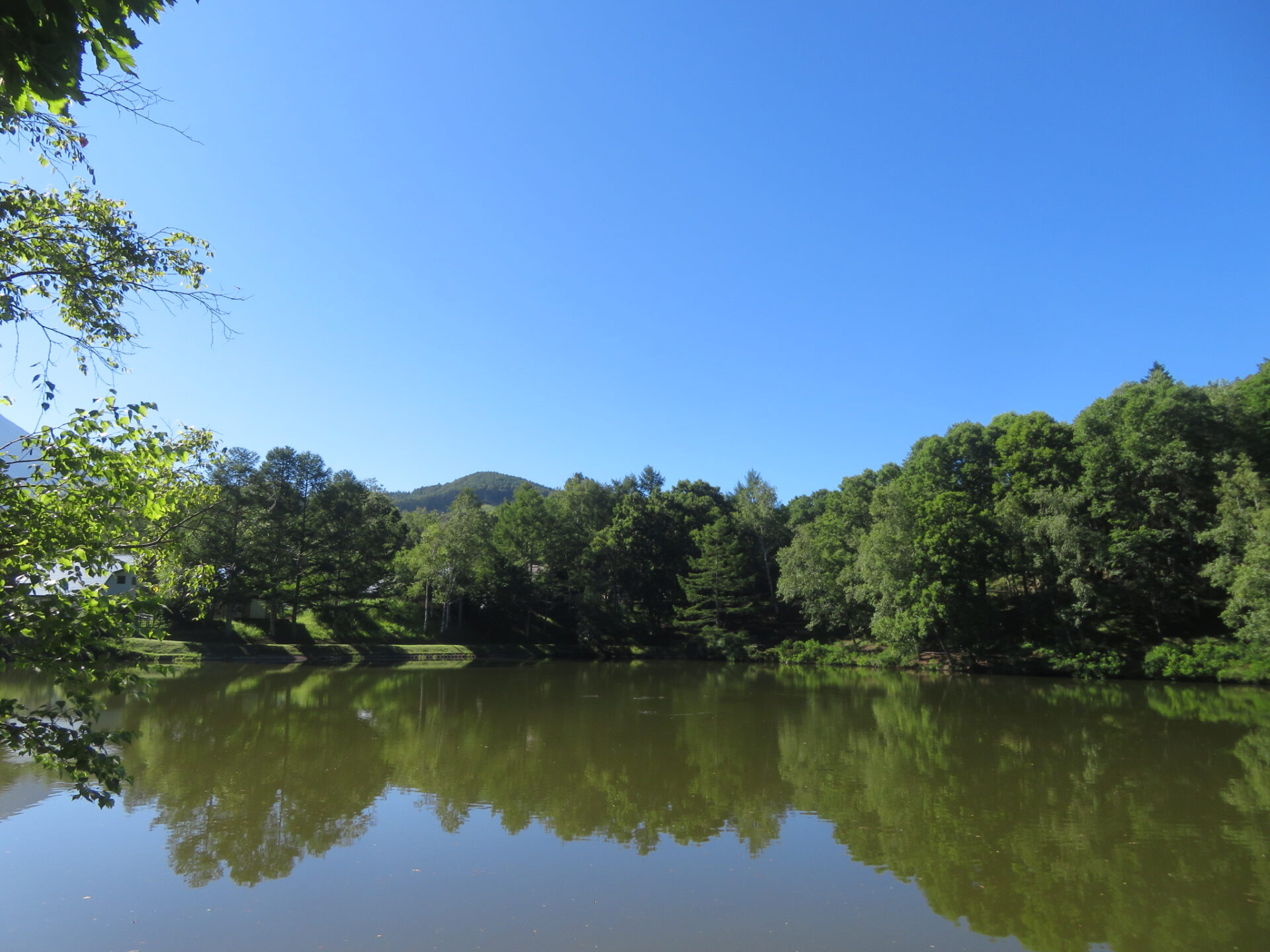 暑い日が続いています・・・